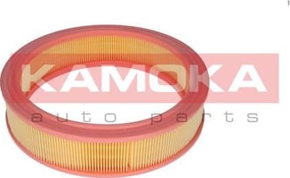 Air Filter F209301 - image 4