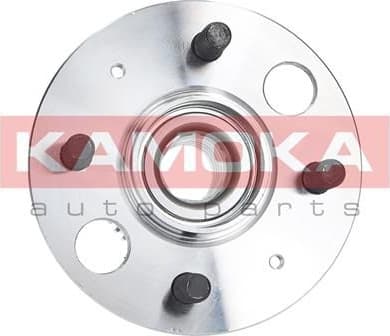 Wheel Bearing Kit 5500036
