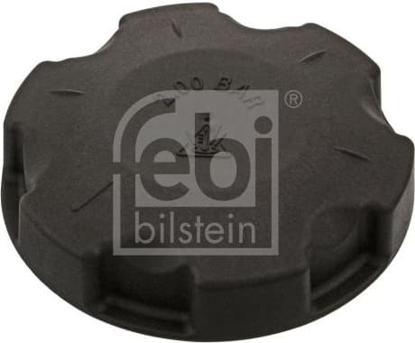 Cap, coolant tank 46222