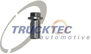 Screw Plug, oil sump 02.43.264