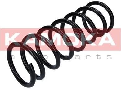 Coil spring 2120158