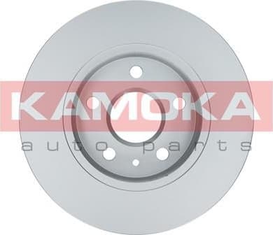 Brake discs kit front (2pcs) 103119 - image 3