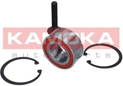 Bearing wheel 5600001