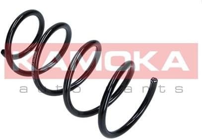 Coil spring 2110295