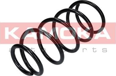 Coil spring 2120256