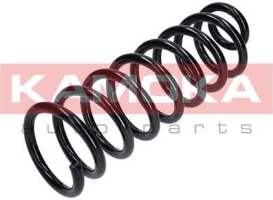 Coil spring 2120267