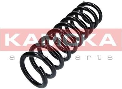 Coil spring 2120316