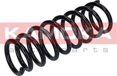 Coil spring 2120293