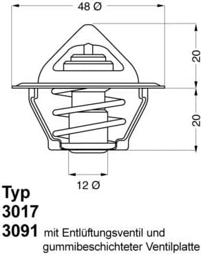 termostatas, aušinimo skystis