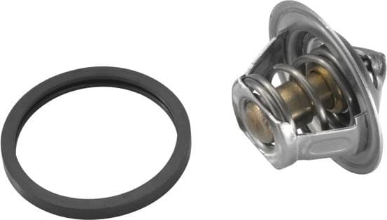 termostatas, aušinimo skystis - image 3