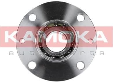Wheel Bearing Kit 5500030