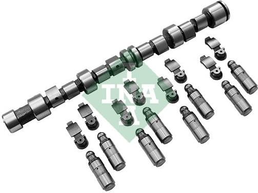 Camshaft Kit 428004330