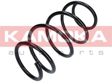Coil spring 2110290