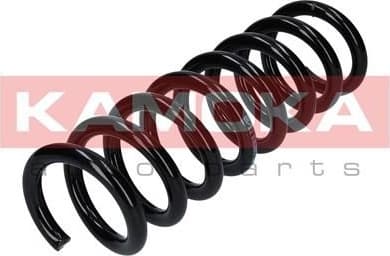 Coil spring 2120281