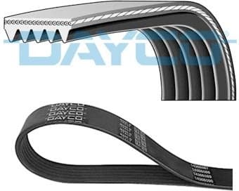 Belt PK-multirib 5PK1800 - image 2