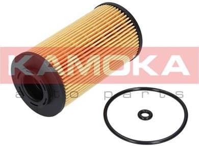 Oil Filter F111001