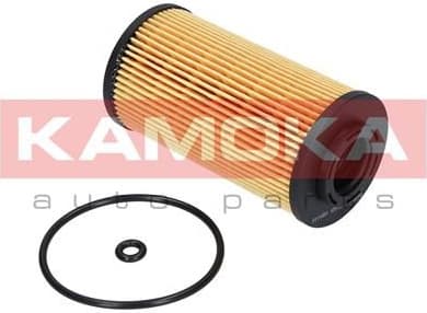 Oil Filter F111001 - image 2