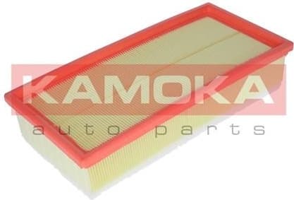Air Filter F223501