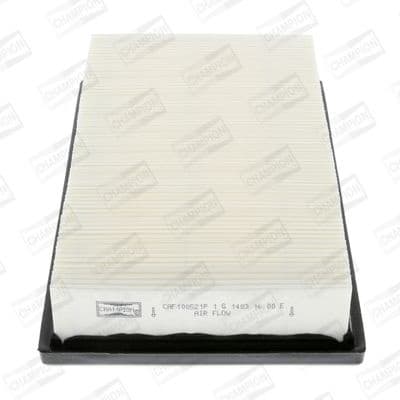 Air Filter CAF100521P