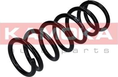 Coil spring 2120262