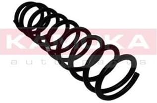 Suspension Spring 2110084
