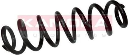 Suspension Spring 2120224