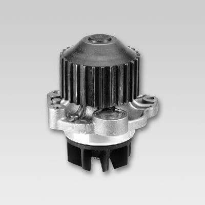 Water Pump, engine cooling P802