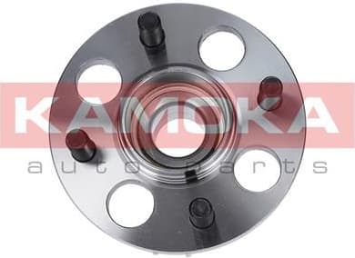Wheel Bearing Kit 5500018