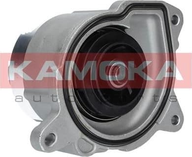 Water Pump, engine cooling T0019
