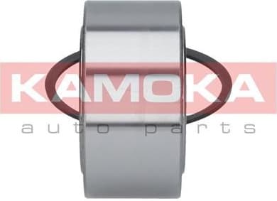 Wheel Bearing Kit 5600036 - image 4