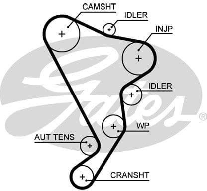 Timing Belt PowerGrip™ 5661XS