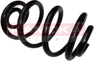 Suspension Spring 2120185