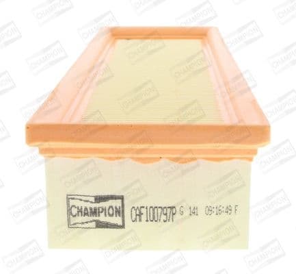 Air Filter CAF100797P