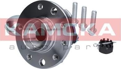 Bearing wheel 5500059
