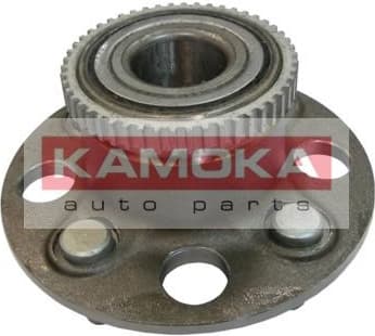 Wheel Bearing Kit 5500032