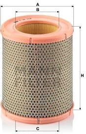 Air Filter C16113