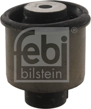 Bushing, axle beam 29664