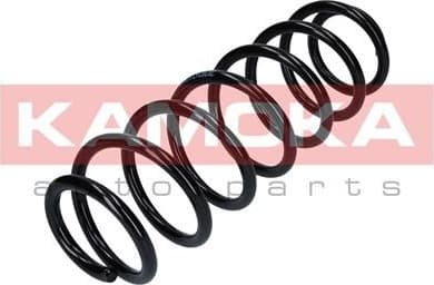 Coil spring 2120263