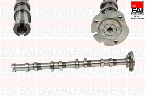 Camshaft C341