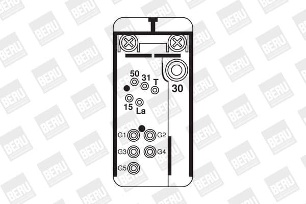 GR 075 (BorgWarner (BERU)) - image 2