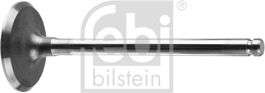 Intake Valve 17384