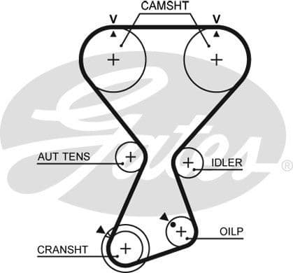 Timing Belt PowerGrip™ T313