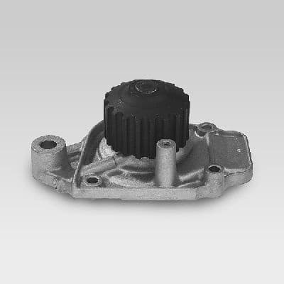 Water Pump, engine cooling P046