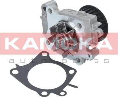 Water Pump, engine cooling T0206
