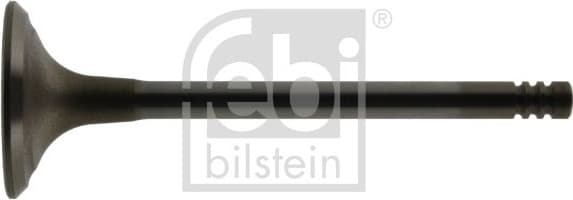 Exhaust Valve 12859