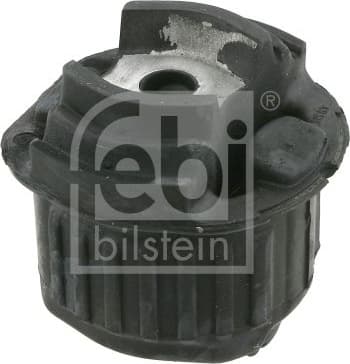 Bushing, axle beam 10256