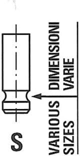 Valve inlet R6183RNT