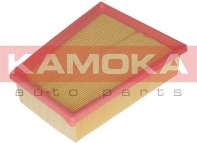 Air Filter F234001