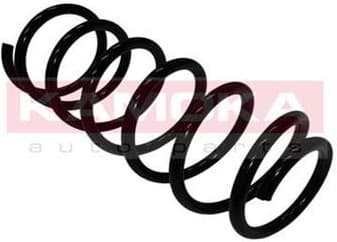 Coil spring 2110269