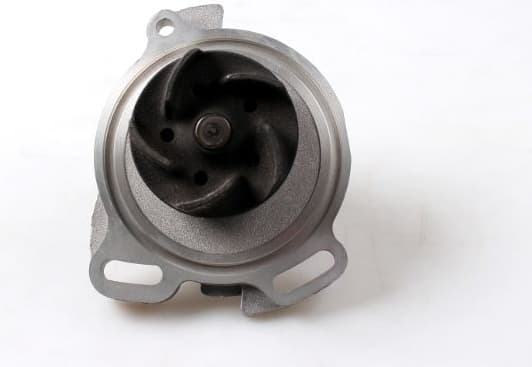 Water Pump, engine cooling P534 - image 4